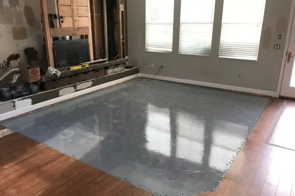 Pet Odor Removal Service