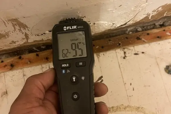 Pet Odor Inspection Service