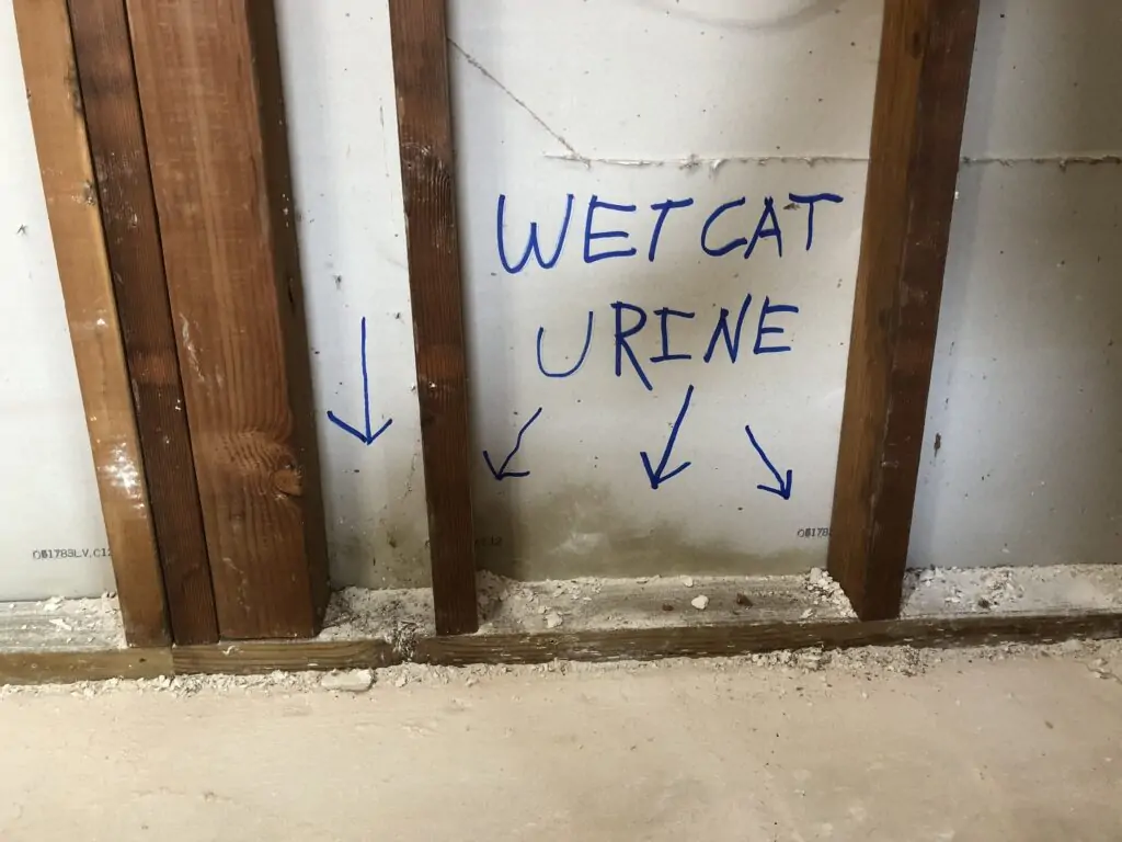 Cat Spray Odor Removal