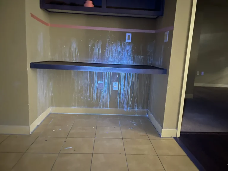 Pet Odor Removal in Santa Clara County, CA